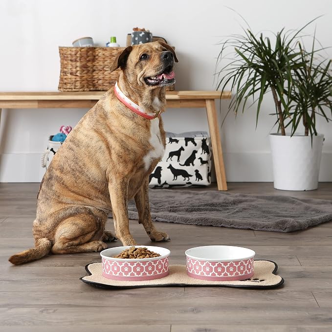 Bone Dry Lattice Collection Pet Bowl & Canister, Large Set, 7.5x2.4 inches, Rose, 2 Piece