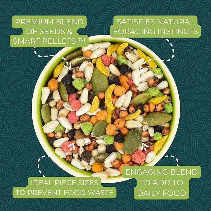 ZuPreem Sensible Seed Parrot Seed Mix Topper – Enrichment Bird Food for Parrots, Conures, African Greys, Amazons, Eclectus, Caiques & Small Cockatoos – Premium Seed Blend, 2 lb (2 Pack)