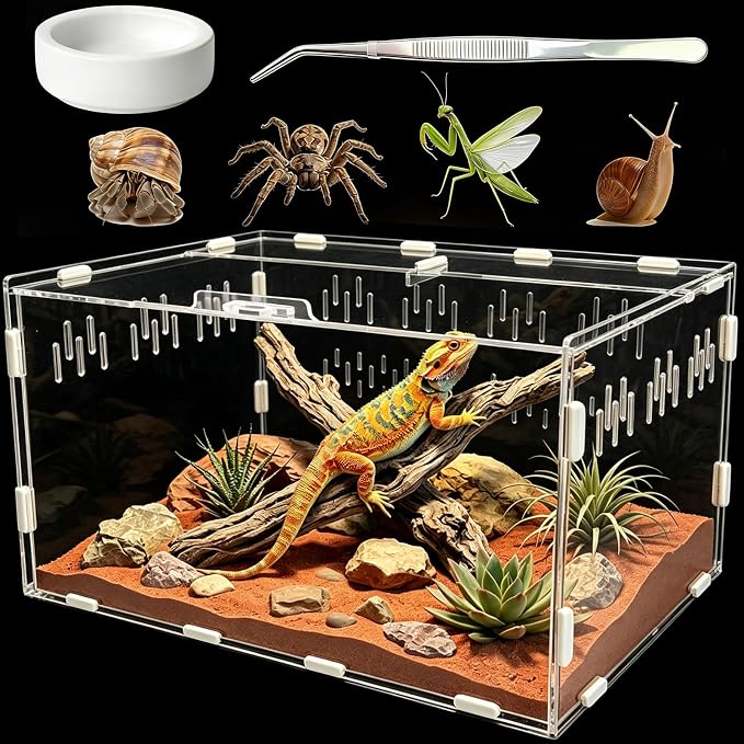 Jumping Spider Enclosure, Insect Terrarium, Bug Cage, Acrylic Terrarium for Tarantula, Snail, Praying Mantis, Frog, and Small Reptiles, Includes Tweezer and Bowl, (11.8" x 7.8" x 5.9")