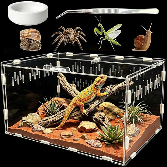 Jumping Spider Enclosure, Insect Terrarium, Bug Cage, Acrylic Terrarium for Tarantula, Snail, Praying Mantis, Frog, and Small Reptiles, Includes Tweezer and Bowl, (11.8" x 7.8" x 5.9")
