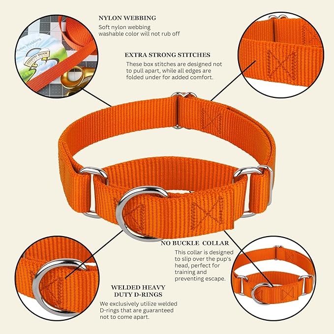 Country Brook Petz - Martingale Dog Collar - Heavy-Duty Training Collar with No Buckle - Service Dog Collar for All Pups - 20 Vibrant Colors (Orange, 1 Inch, Medium)