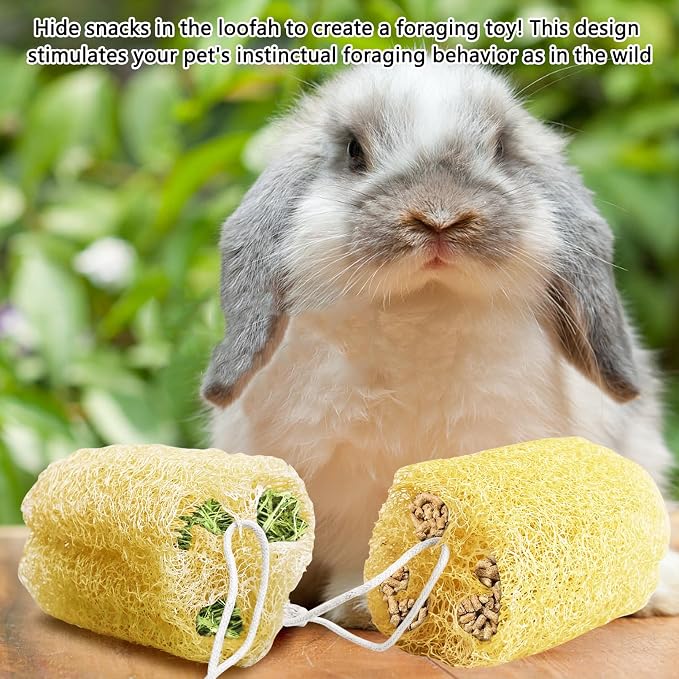 12 Pcs Rabbit Chew Toys Natural Bunny Loofah Chew Toy Chinchilla Teeth Grinding Toys Guinea Pig Fibre-Rich Treats Enrichment Bunny Accessories for Rabbits Hamster (S)