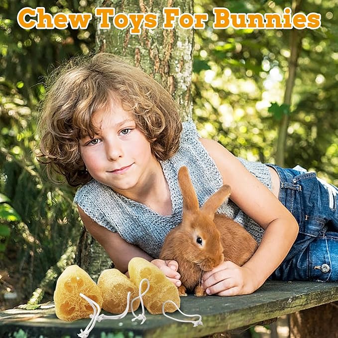 12 Pcs Rabbit Chew Toys Natural Bunny Loofah Chew Toy Chinchilla Teeth Grinding Toys Guinea Pig Fibre-Rich Treats Enrichment Bunny Accessories for Rabbits Hamster (M)