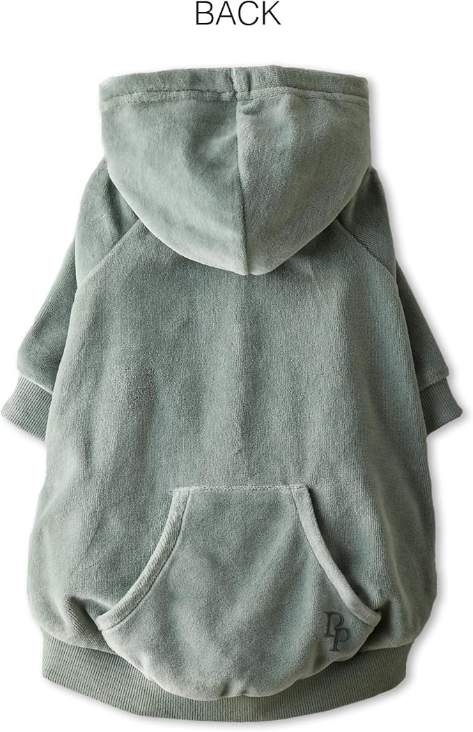Pet Passion Cooper II Organic Cotton Velour Dog Hoodie Pet Coat for Small, Medium and Large Dogs, Sage, XX-Small (4-7 lbs)
