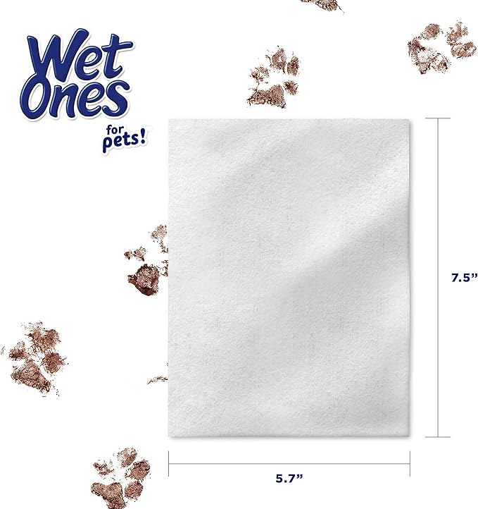 Wet Ones Dog Wipes, Pack of 2, 30 Count Total | Paw & Tushie | Tropical Splash Scent | Wet Lock Seal Pouch | With Chamomile