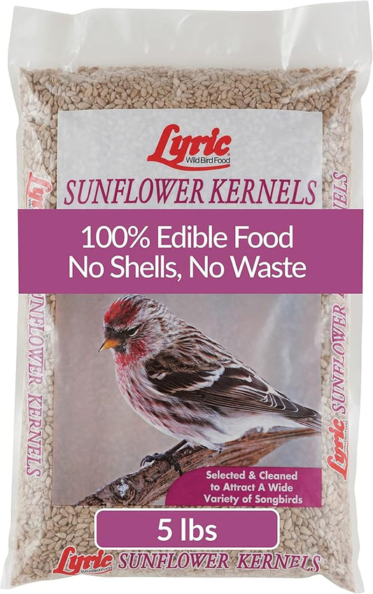 Lyric Sunflower Kernels Wild Bird Seed for Outside Feeders, No Waste Bird Food, Attracts Finches and More, 5 lb Bag
