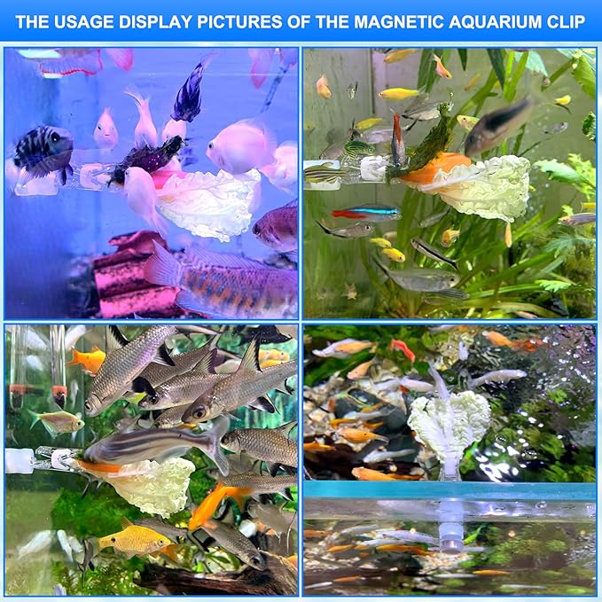 Waterproof Magnetic Seaweed Clip for Saltwater Fish Feeding nori Clip Aquariums Magnet Veggie Feeder Plant clamp Fish Accessories—Patented Product (1pcs Magnetic Veggie Clip)