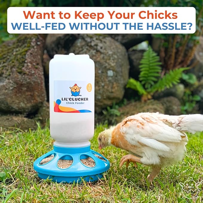 Lil'Clucker 1L Chick Feeder, 1.5L Chicken Waterer - No Leakage Chick Feeder and Waterer Kit, Durable Chicken Water Feeder, Chicken Feeder and Waterer Set, Poultry Waterer (Blue)