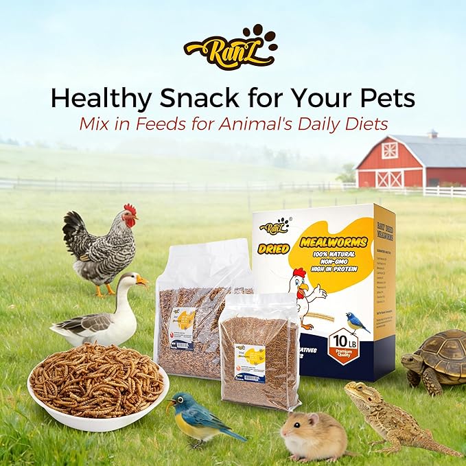 RANZ 2LBS Non-GMO Dried Mealworms for Chickens, High Protein Meal Worms, Premium Chicken Feed, Whole Large Mealworms for Blue Birds, Ducks, Fish