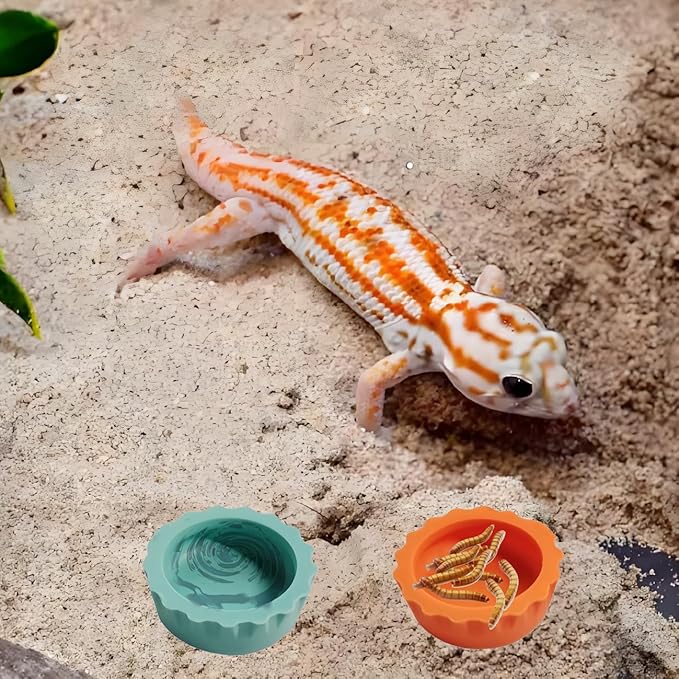 9pcs Crested Gecko Tank Accessories:Food Dish& Feeding Cups - Gecko Feeder &Corner Water Bowl for Reptile Tanks