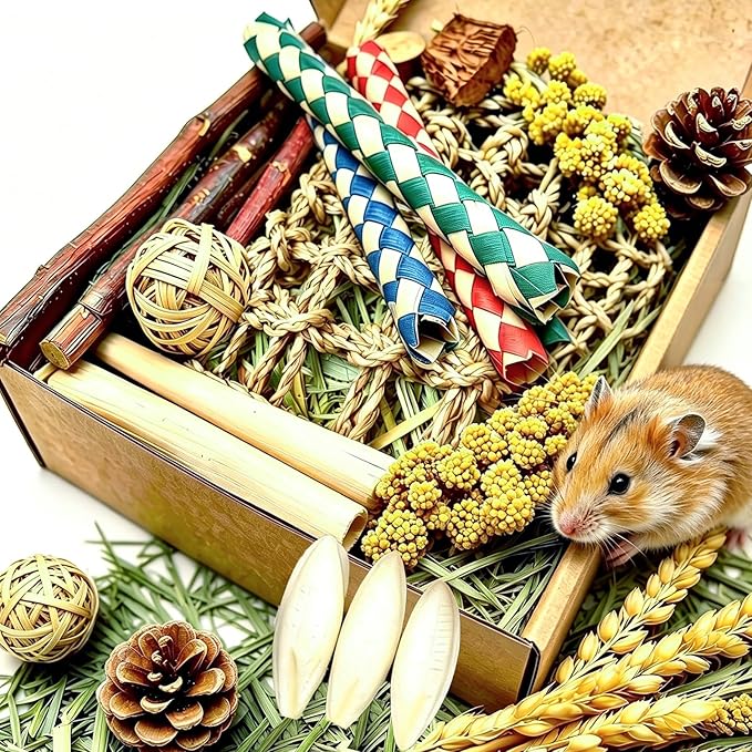 Hamster Chew Toy with Timothy Hay Grass Mat Coconut Husk Box for Guinea Pig Chinchilla Rat Hamster Bunny and Other Small Pets 12PCS (Large)