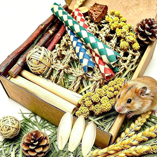 Hamster Chew Toy with Timothy Hay Grass Mat Coconut Husk Box for Guinea Pig Chinchilla Rat Hamster Bunny and Other Small Pets 12PCS (Large)