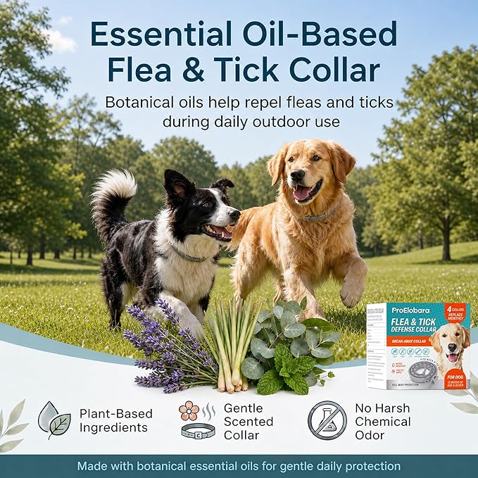Flea and Tick Prevention Collars for Dogs: Natural Essential Oil Pet Flea Tick Collar Treatment - Break-Away Collars for Extra Large, Medium, Small Dogs, Fleas Ticks Control for Puppies