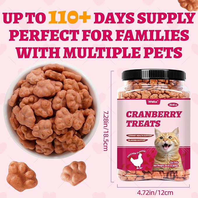 Wellix 29.45 oz Urinary Tract Health Cat Treats for Indoor Cats - Cranberry&D-Mannose for UT,Kidney,Bladder Support - Chicken Formula Crunchy Kitten Training Snacks Chews