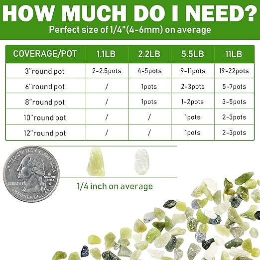 11LB Natural Gravel Pebbles, 1/4 Inch Gravel Stones for Succulent and Cactus, Aquariums, Terrarium, Vases and Indoor Outdoor Gardening,Green