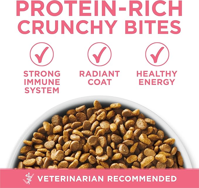 Purina ONE High Protein, Natural Dry Kitten Food, +Plus Healthy Kitten Formula - 7 lb. Bag