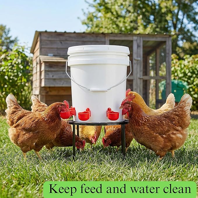 Cedilis 2 Pack Chicken Feeder Stand, Heavy Duty Iron Stand for Chicken Coop Poultry Feeder and Waterer Buckets Indoor Outdoor, Black