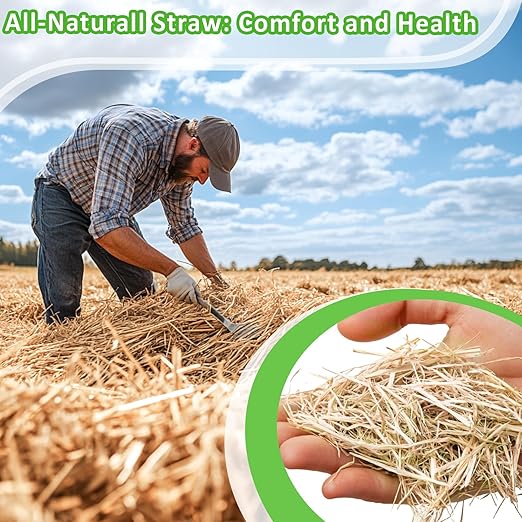 MAQIHAN Natural Straw for Small Animals Bedding- 5.92oz Dry Straw,Garden Straw,Animal Hay Bedding Nest Chaw Toy Bed,Sleeping,Chewing,Nesting and Toys for Rabbits,Bed Mat