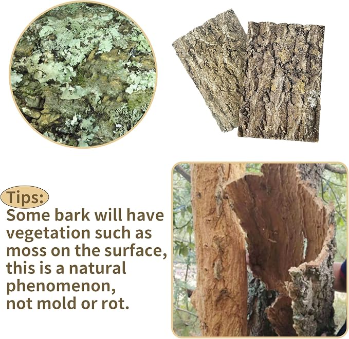 Fhiny 2 PCS Cork Bark Background, 11.6" x 7.7" Natural Reptile Terrarium Backdrop, Reptile Climbing Wall Decor for Bearded Dragon, Gecko, Chameleon, Snake