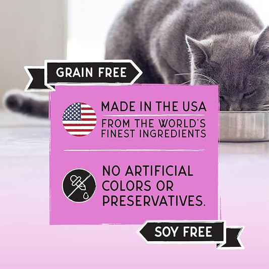 Blackwood Bounty Dry Cat Food, Red Meat Recipe for All Life Stages, 2 Pound Bag, High Protein, Grain Free