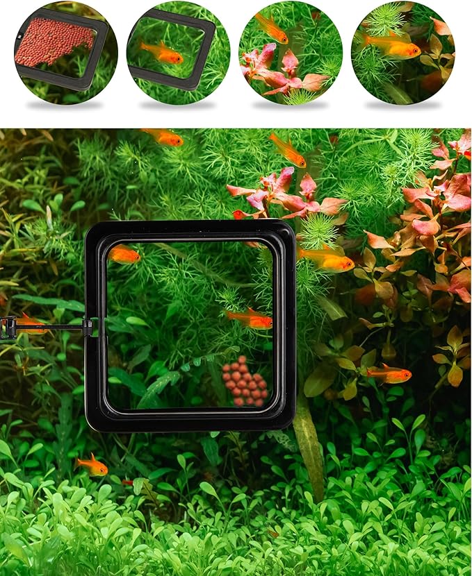 Fish Feeding Ring, 2 Pack Black Aquarium Floating Food Feeder Circle Small Round and Square with Flexible Lever Suitable and Suction Cup, Reduces Fish Feeder Waste and Maintains Water Quality