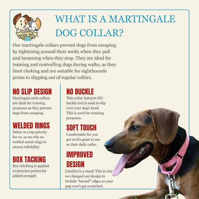 Country Brook Petz - Martingale Dog Collar - Heavy-Duty Training Collar with No Buckle - Service Dog Collar for All Pups - 20 Vibrant Colors (Pink, 3/8 Inch, 2XS)