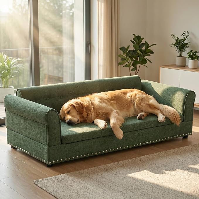 55" Dog Sofa for Medium to Large Dogs, Button Tufted Dog Couch Bed with Backrest and Armrests, Durable Memory Foam Pet Bed, Removable Cushion for Medium and Large Dogs, Green