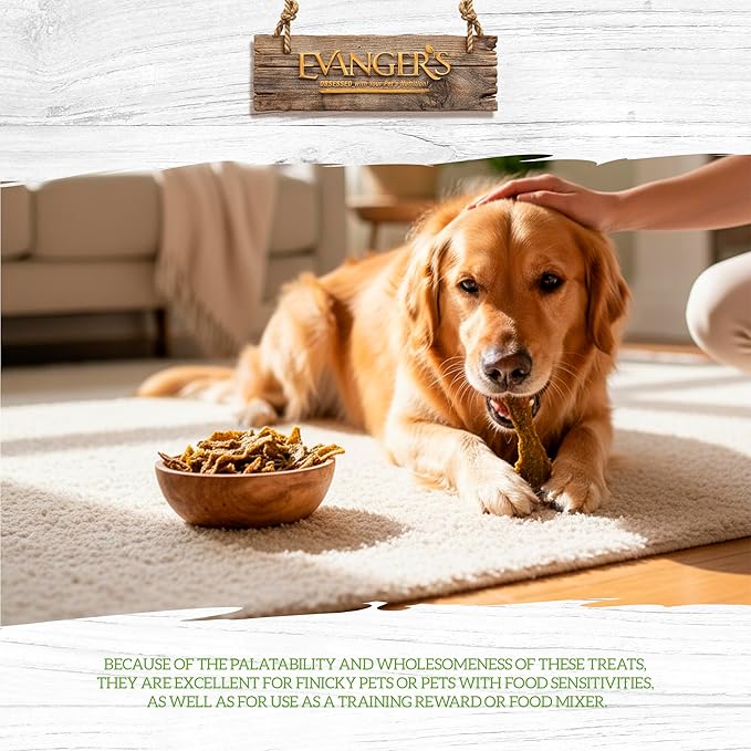 Evanger's Gently Dried Beef Tripe Dog & Cat Treats – 3.5 oz – Single-Ingredient, Grain-Free, Protein-Rich Snack – Supports Optimal Digestive Wellness & Healthy Vibrant Coats