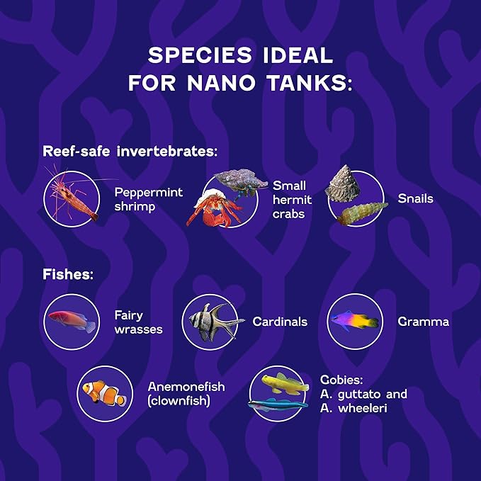Coralife Saltwater Fish Tank Aquarium Nano Reef Part A and B, 8 oz