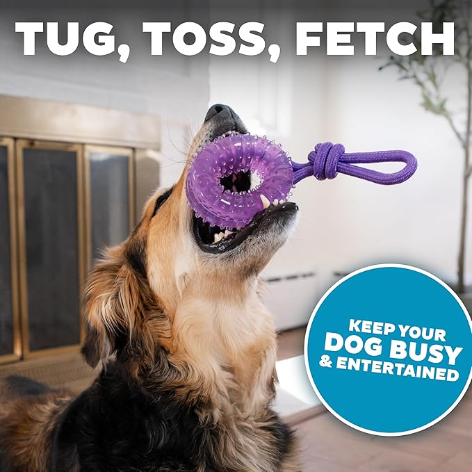 Dental Chew Wheel Dog Toy, Ring & Rope Tug, Multi-Textured, Soft on Teeth, Moderate Chewers, Mint Scented, 9"
