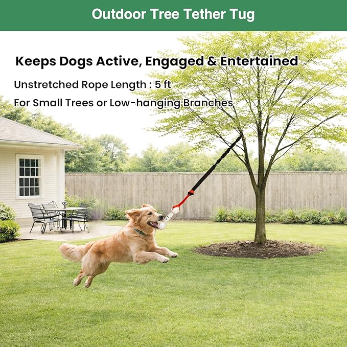 Interactive Dog Bungee Tug Toy, 4 Pieces Hanging Spring Pole for Puppy/Small/Medium Dogs, Outdoor Tether Rope for Yard Tree, Indoor Door Pull Toy for Self Play and Solo Exercise
