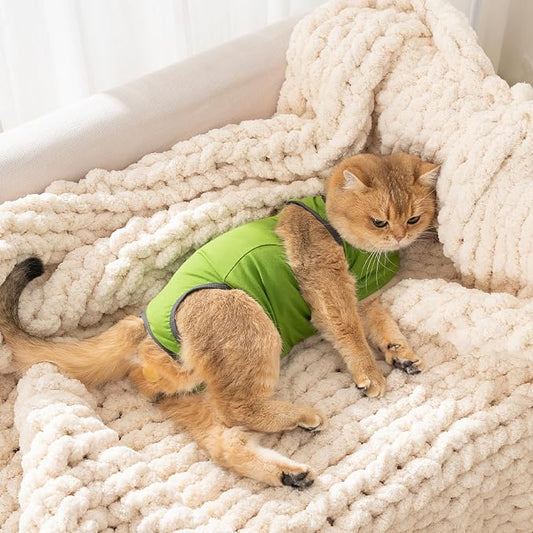 Avont Cat Recovery Suit for Surgery, Breathable Anti-Licking Onesie for Kittens, Surgical Post-Operative Protective Bodysuit, Comfortable Alternative to E-Collar -Green (S)