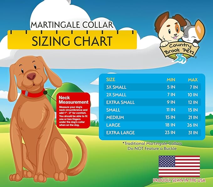 Country Brook Petz - Martingale Dog Collar - Heavy-Duty Training Collar with No Buckle - Service Dog Collar for All Pups - 20 Vibrant Colors (Charcoal, 5/8 Inch, Extra Small)