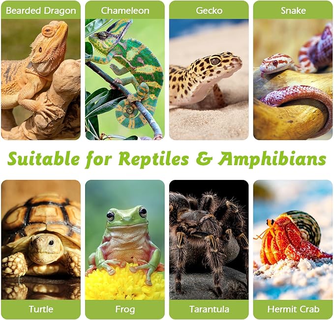 Reptile Cork Bark Bulk 1.5 Lb Cork Wood for Terrarium, Natural Flat Cork Bedding Terrarium Substrate for Bearded Dragon Snake Spiders Hermit Crabs Geckos Tortoise