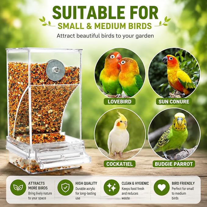 Rypet No Mess Automatic Bird Feeder Transparent Food Container Cage Acrylic Parrot Feeder Accessories for Small Birds Parrot Cockatoo Canary