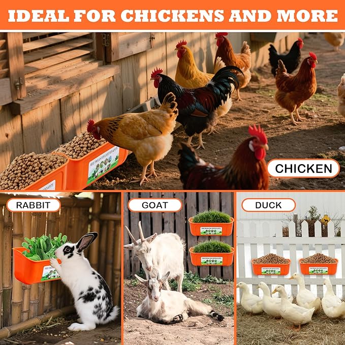 5 Pack Chicken Feeder, Duck Feeder Supplies, Hanging Fence Feed Trough with Clips for Goat, Sheeple, Piglet, Gooses, Turkeys, Dog Livestock Poultry, 8 Quarts in Total, Feed Scoop Included, Orange