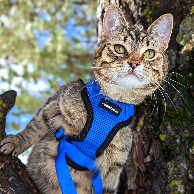 rabbitgoo Cat Harness and Leash for Walking, Escape Proof Soft Adjustable Vest Harnesses for Cats, Easy Control Breathable Reflective Strips Jacket, Navy Blue, XS