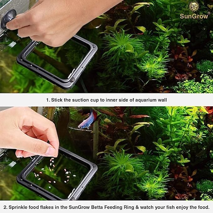 SunGrow 2 Betta Feeding Ring, Prevent Water Turbulence from Washing Food into Filter, Practical Round Floating Food, Suitable for Guppy, Goldfish and Other Small Fish