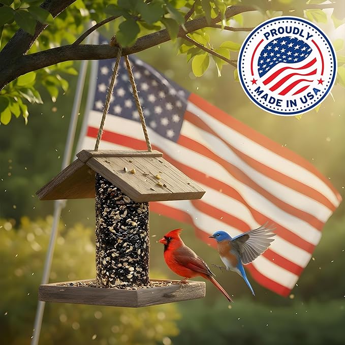 All Year Round Bird Seed Cylinders with Hole – All Season Wild Bird Food for Blue Jays, Cardinals, Doves, Finches & More – High Energy All Natural Blend, No Fillers – USA Made (4" x 7.75") 2 Pack