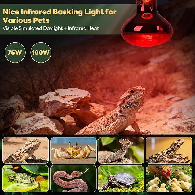 Reptile Heat Lamp Bulbs, 2 Pack 100W Infrared Heat Lamp Red Light Bulb Basking Bulb Terrarium Night Light for Bearded Dragon Chameleon Turtle Snake Gecko Lizard Chicken Tank Accessories, Red