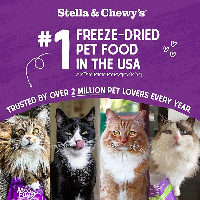 Stella & Chewy's Freeze-Dried Raw Cat Dinner Morsels - Premium Salmon & Chicken Recipe with 98% Wild-Caught & Cage-Free Protein - Natural Grain-Free Cat & Kitten Food - Made in USA - 1 oz (Pack of 2)