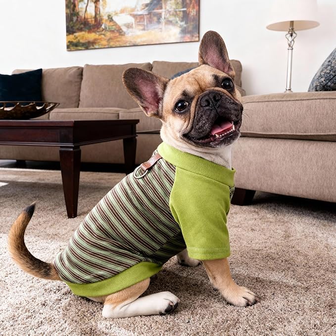 Pistha Dog Tshirt Striped Shirts for Dogs Clothes Stretchy Puppy T-Shirts with Metal Buckle for Small Medium Dog Boys Girls (Green, X-Small)
