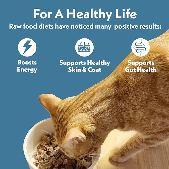 Fresh Is Best Turkey Freeze Dried Cat Food – Raw Healthy Freeze Dried Cat Treats in Resealable Zipper Bag – High-Protein Complete Meal for All Breeds and Sizes – Made in the USA