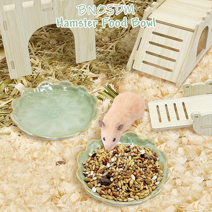 BNOSDM Shallow Ceramic Hamster Food Dish 2 Pcs Small Animals Food Bowl Sunflower Feeding Dishes for Gerbils Mice Rats 4.5in (Green)