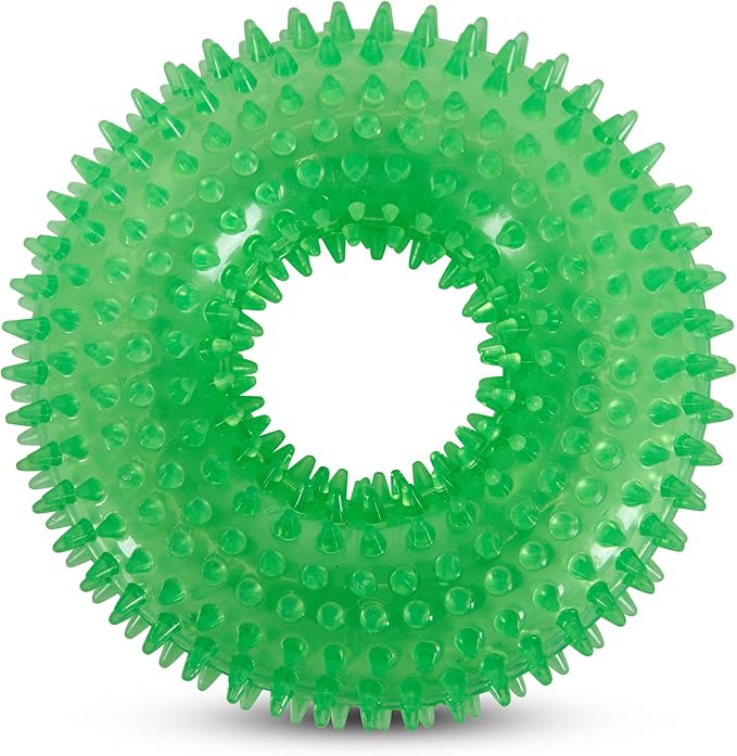 Bow Wow TPR Spiked Squeaky Dog Toy – Dental Ring or Bone – Vanilla Scented, Colorful, and Fun – Gum Massaging Spikes for Everyday Play