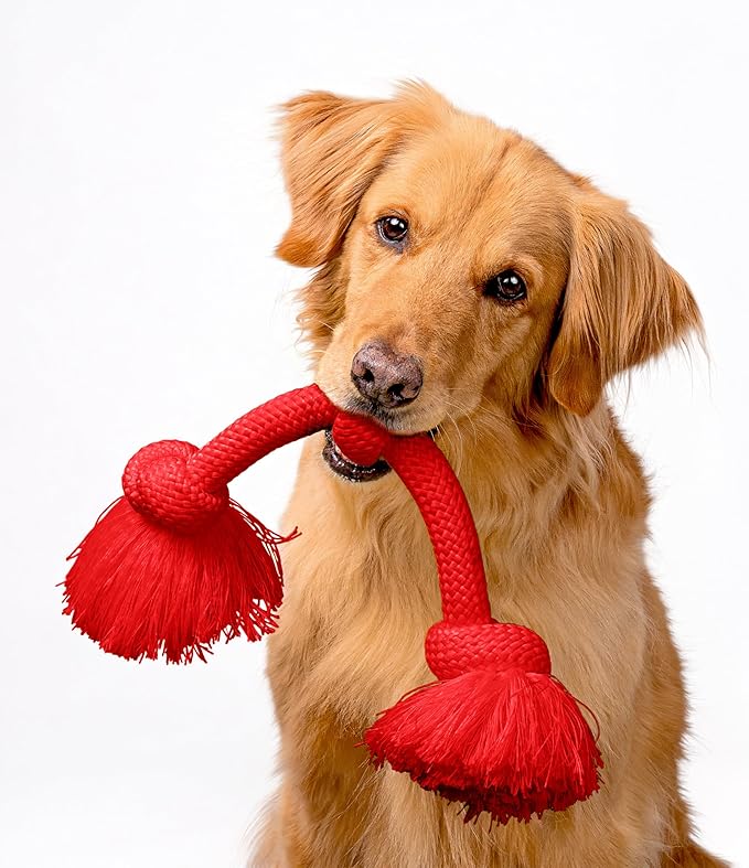Playology Dog Toys | Dri-Tech Rope Tug of War Dog Toy for Tough Chewers (Value 2-Pack) | Peanut Butter & Beef Scented Medium Tug Rope Toys for Dogs