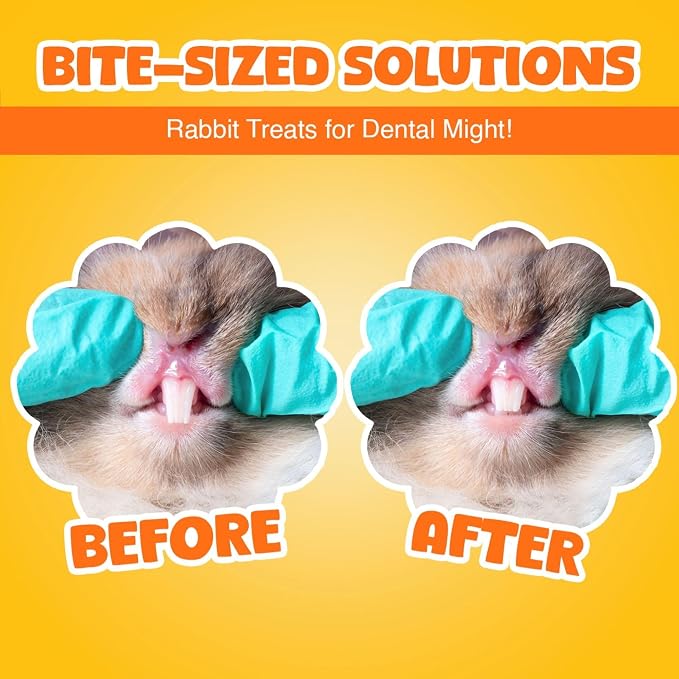 Vila Rabbit Chew Stick, Hanging Treat, Apple Chew Sticks with Round Grass Cakes, Oral Care and Gums, Suitable for Rabbits, Chinchillas, Guinea Pigs and Parrots, 1-Piece