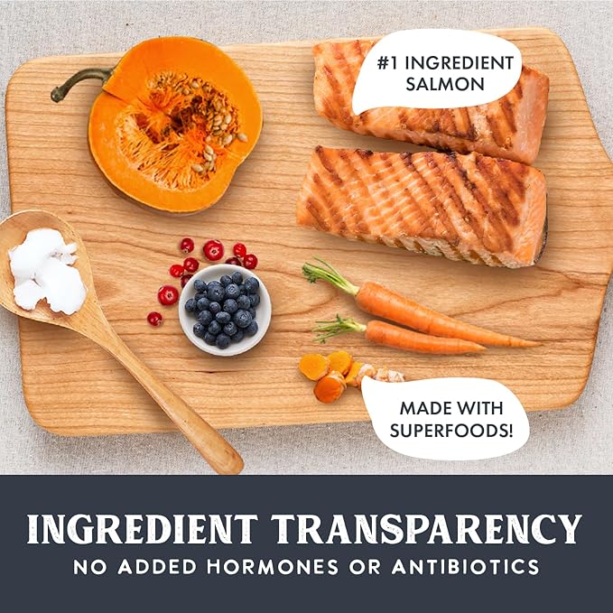 Health Extension Gently Air Dried Salmon Dog Food, (2lb, 907 g) – Complete & Balanced with 85% Animal Protein and 30+ Superfoods for All Life Stages
