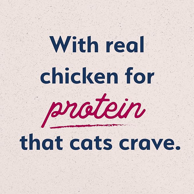 Natural Balance Original Ultra Dry Cat Food, Chicken Meal & Salmon Meal Recipe, Whole Body Health for Kittens to Adult Cats, 6 lb. (Pack of 1)