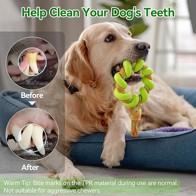 ALL FOR PAWS 6.1" Dog Ring Toy, Tug of War Dog Toy with TPR Foam & Rope, Interactive Dog Toys for Fetch, Training & Outdoor Play, Dog Toys for Small, Medium & Large Dogs